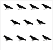 鳥11羽の絵