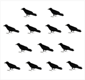 鳥13羽の絵