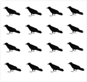 鳥16羽の絵