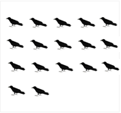 鳥17羽の絵