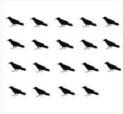 鳥19羽の絵