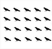 鳥20羽の絵