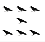 鳥7羽の絵