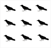 鳥9羽の絵